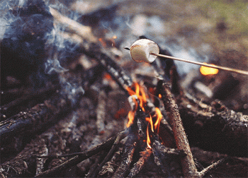 Campfire Animated Gif Epic