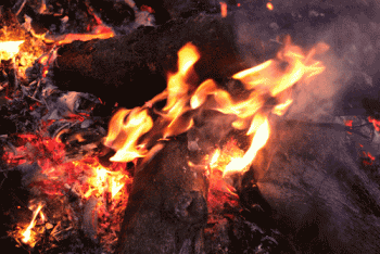 Campfire Animated Gif Hot