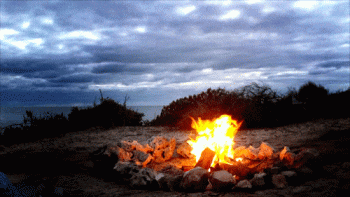 Campfire Burning Animated Gif Image