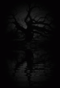 Dark Forest Tree Animated Gif Cool