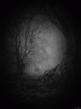 Dark Forest Tree Animated Gif Hot