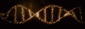 Dna Rna Chromosomes Double Helix Rotating Animated Gif
