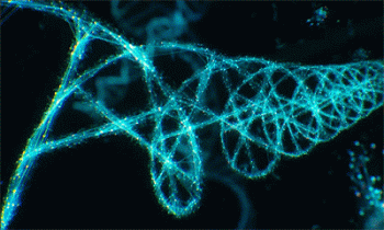 Dna Rna Chromosomes Double Helix Rotating Animated Gif Awesome