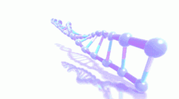 Dna Rna Chromosomes Double Helix Rotating Animated Gif Cool Human