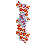 Dna Rna Double Helix Rotating Animation Cool Download Gif