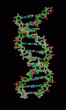 Dna Rna Double Helix Rotating Animation Cool Epic