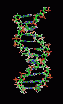 Dna Rna Double Helix Rotating Animation Cool Epic Hot