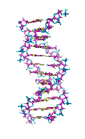Dna Rna Double Helix Rotating Animation Cool Epic Super