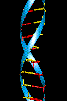 Dna Rna Double Helix Rotating Animation Cool Gif Image Idea
