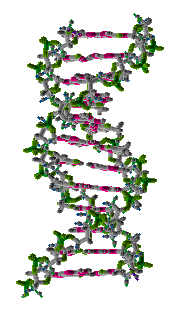 Dna Rna Double Helix Rotating Animation Cool Hot Epic