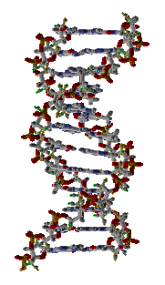 Dna Rna Double Helix Rotating Animation Cool Hot Gif Image Download