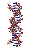 Dna Rna Double Helix Rotating Animation Cool