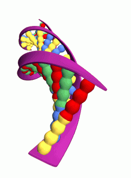 Dna Rna Double Helix Rotating Animation Epic