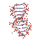 Dna Rna Double Helix Rotating Animation Hot Cool