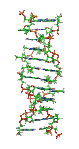 Dna Rna Double Helix Rotating Animation Hot