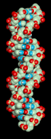 Dna Rna Double Helix Rotating Animation Love