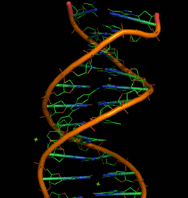 Dna Rna Double Helix Rotating Animation