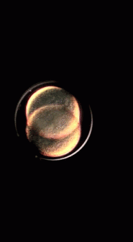 Embryo Dividing Animated Gif