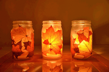 Fall Nature Animated Gif Hot Cool Download High Quality Gif For Use
