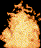 Flame Cool Hot June Download High Quality Gif For Use