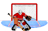 Ice Hockey Player Animated Cool Nice
