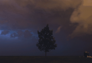 Lone Tree Lightning Storm Flashes Scary Animated Gif