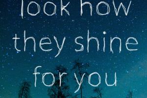 Look How They Shine For You Text Gif