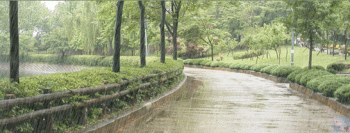 Nature Rain Animated Gif Epic