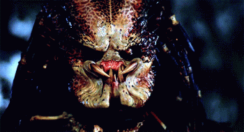Predator Alien Movie Close Up Face Animated Gif Hot
