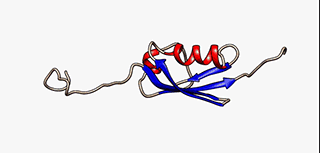 Protein Animation Awesome