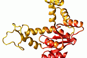 Protein Animation Cool Awesome