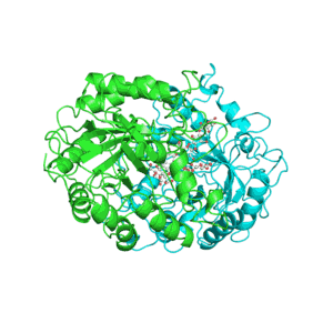 Protein Animation Cool Image