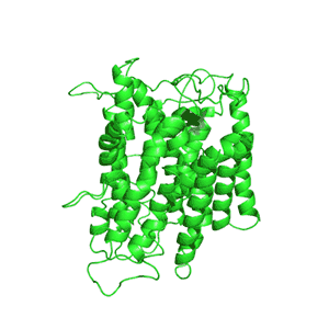 Protein Animation Cool Love