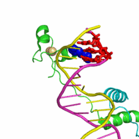 Protein Animation Cool Nice Image