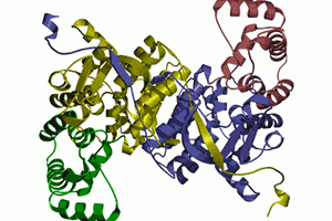 Protein Animation Hot Download Gif Image