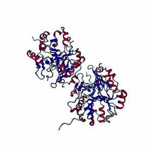 Protein Animation