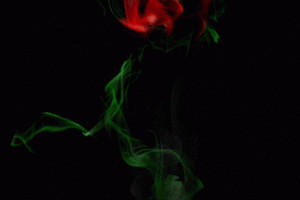 Rose Animated Gif Cool Download Gif Image