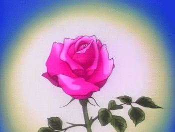 Rose Animated Gif Cool Super