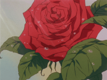 Rose Animated Gif Hot