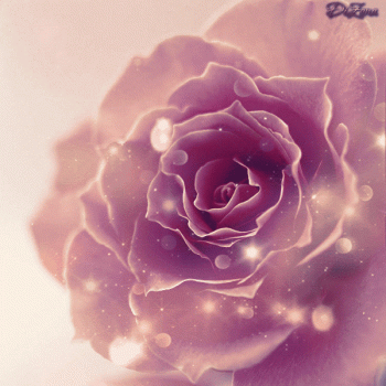 Rose Animated Gif Love