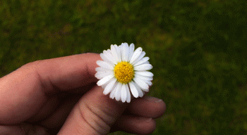 Spring Nature Gif Cool Awesome