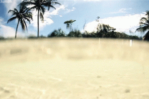 Summer Nature Animated Gif Hot Cool