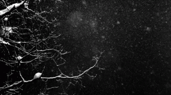 Winter Snow Nature Animated Download Gif Image