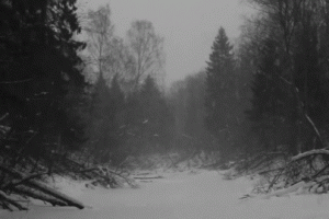 Winter Snow Nature Animated Gif Awesome