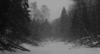 Winter Snow Nature Animated Gif Awesome