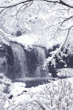 Winter Snow Nature Animated Gif Cool Love
