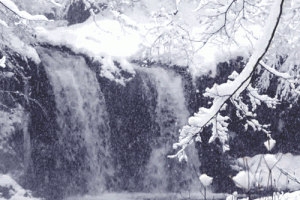 Winter Snow Nature Animated Gif Cool Love