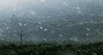 Winter Snow Nature Animated Gif Hot