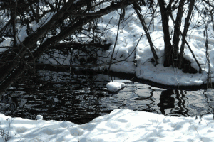 Winter Snow Nature Animated Gif Hot Cool