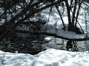 Winter Snow Nature Animated Gif Hot Cool